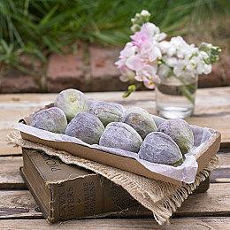 《马里奥激战前锋》新视频展示装备定制和实机对战